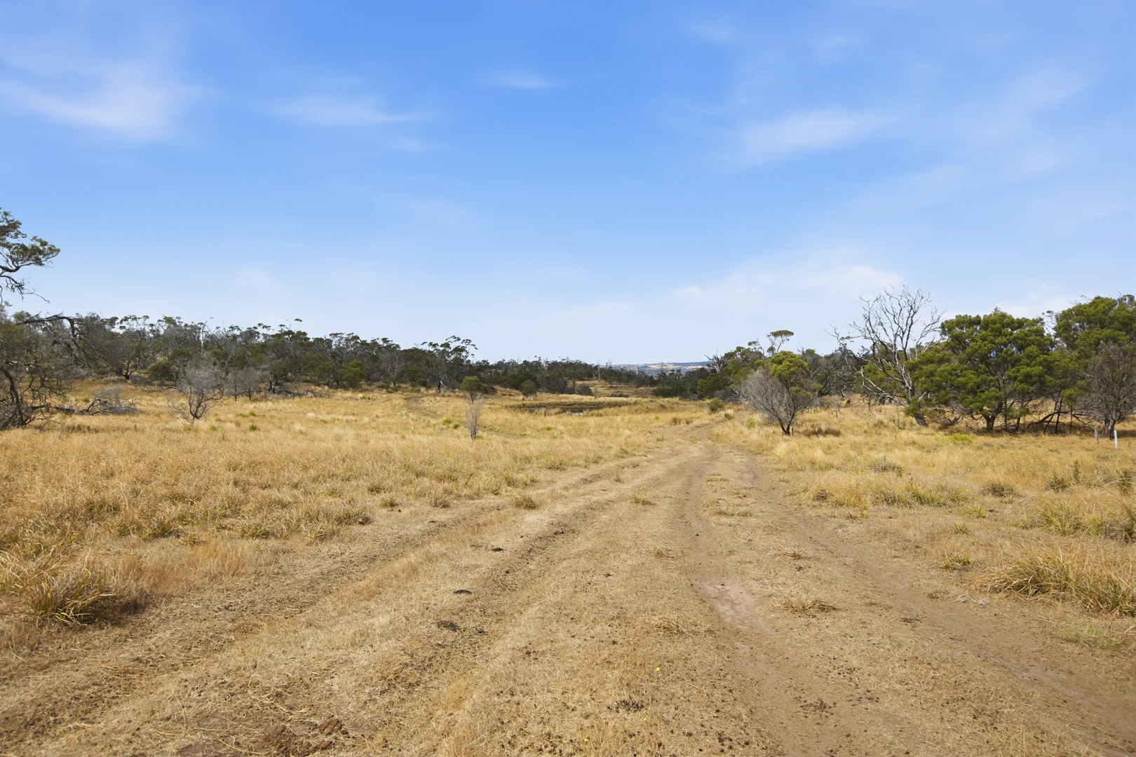 Additional image 19 of 75 Prossers Forest Road, Ravenswood TAS 7250