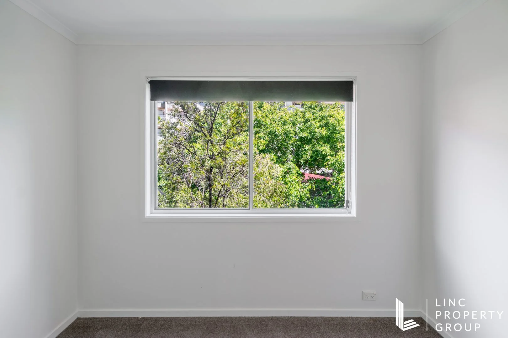 Additional image 6 of 59/17 Chandler Street, Belconnen ACT 2617