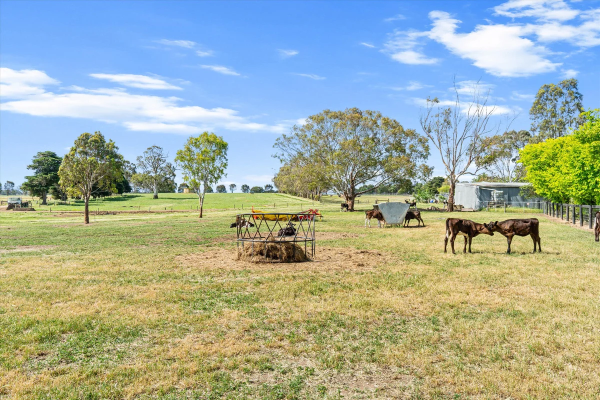 Additional image 41 of 335 Riverview Road, Heyfield VIC 3858