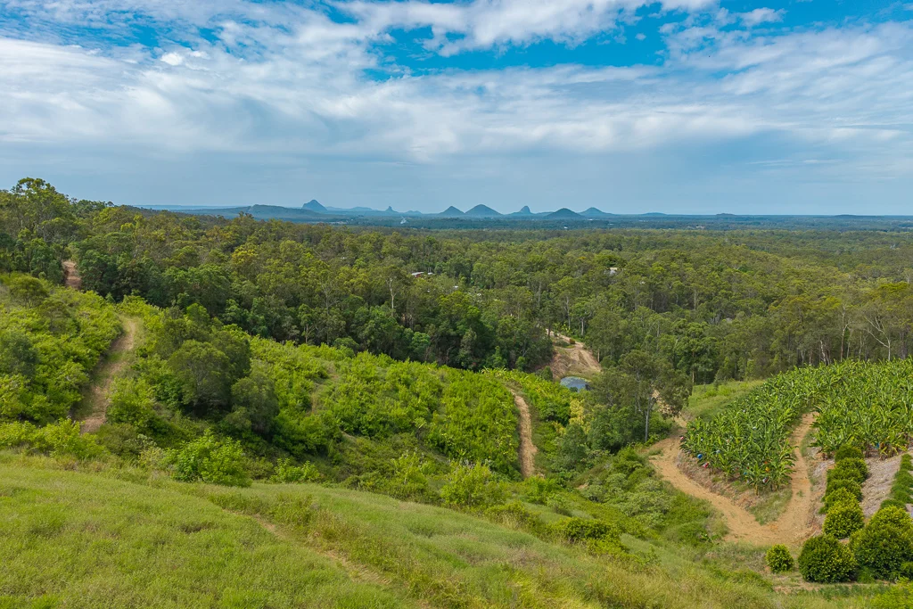 Additional image 32 of 349 Jackson Road, Wamuran QLD 4512