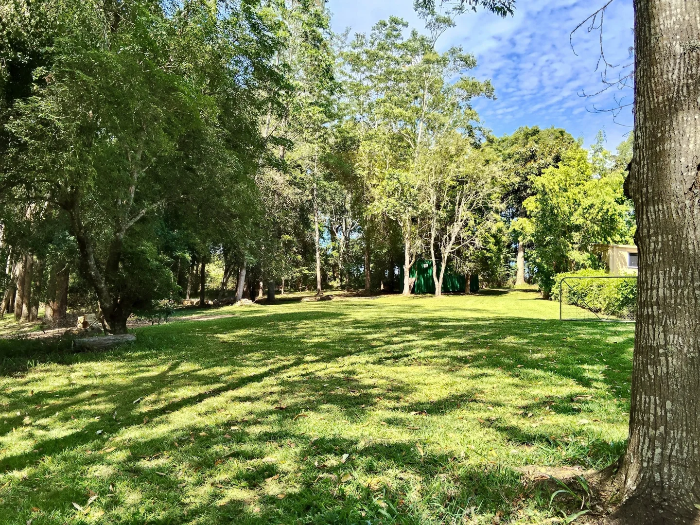 Additional image 20 of 645 Bowraville Road, Bellingen NSW 2454