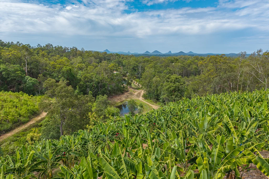 Additional image 5 of 349 Jackson Road, Wamuran QLD 4512