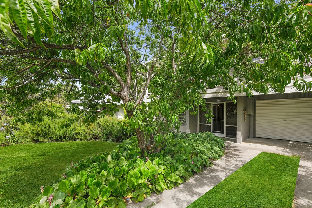 Additional image 32 of 24 Point Avenue, Skenes Creek VIC 3233