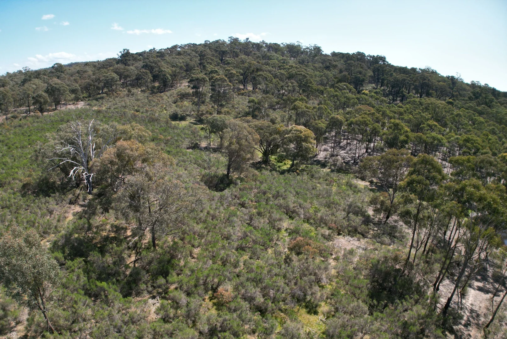 Additional image 8 of Lot 12 Heathcote-Nagambie Road, Moormbool West VIC 3523