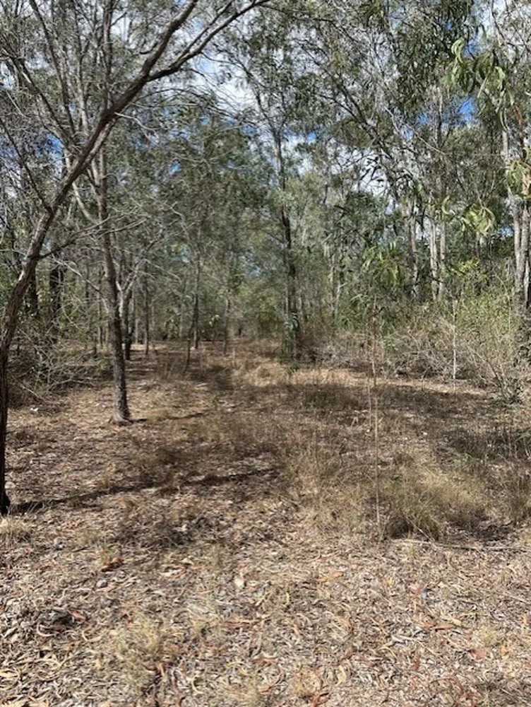 Additional image 7 of Lot 49 Railway Parade, St Lawrence QLD 4707