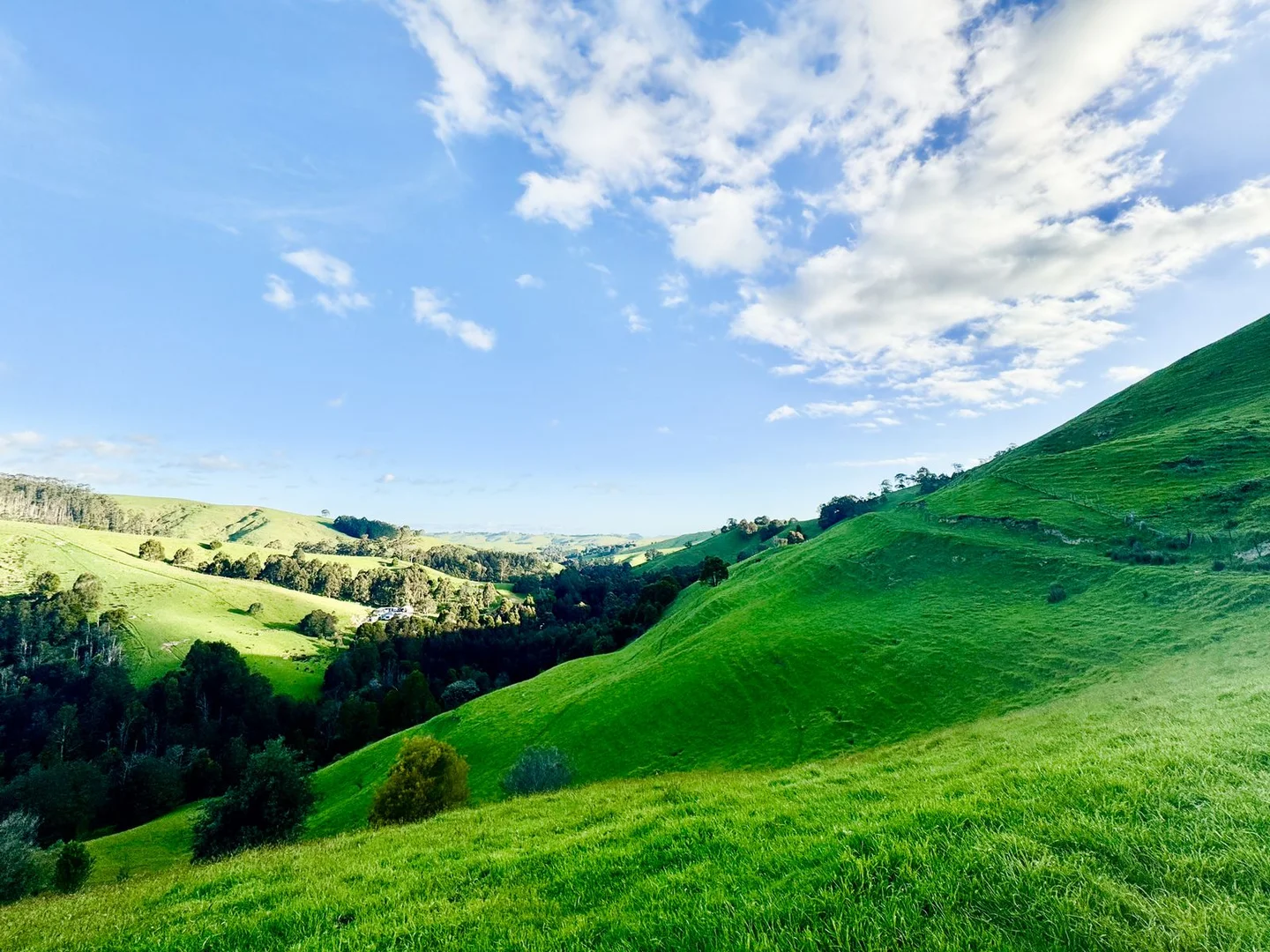 Additional image 13 of 1725 Wild Dog Valley, Strzelecki VIC 3950