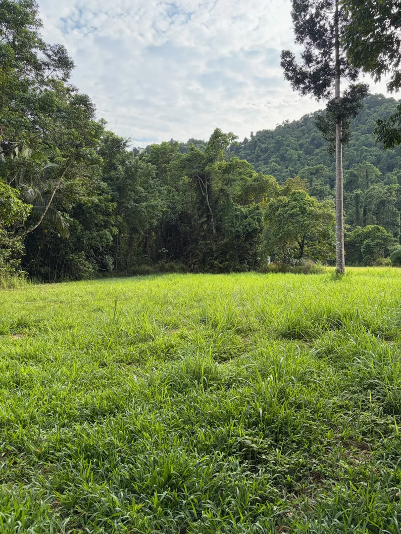 Additional image 4 of 252 Jackson Road, Shell Pocket QLD 4855