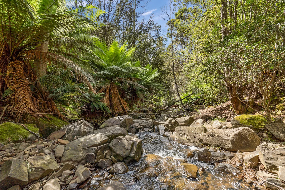 Additional image 13 of 7 Kaoota Road, Kaoota TAS 7150
