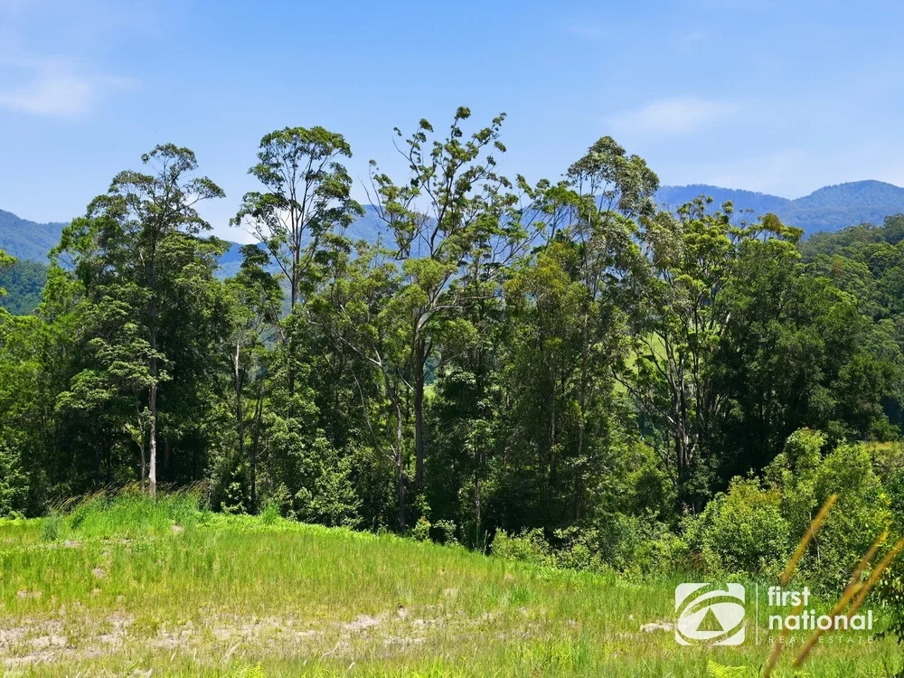 Additional image 12 of Lot 65 North Island Loop Road, Upper Orara NSW 2450