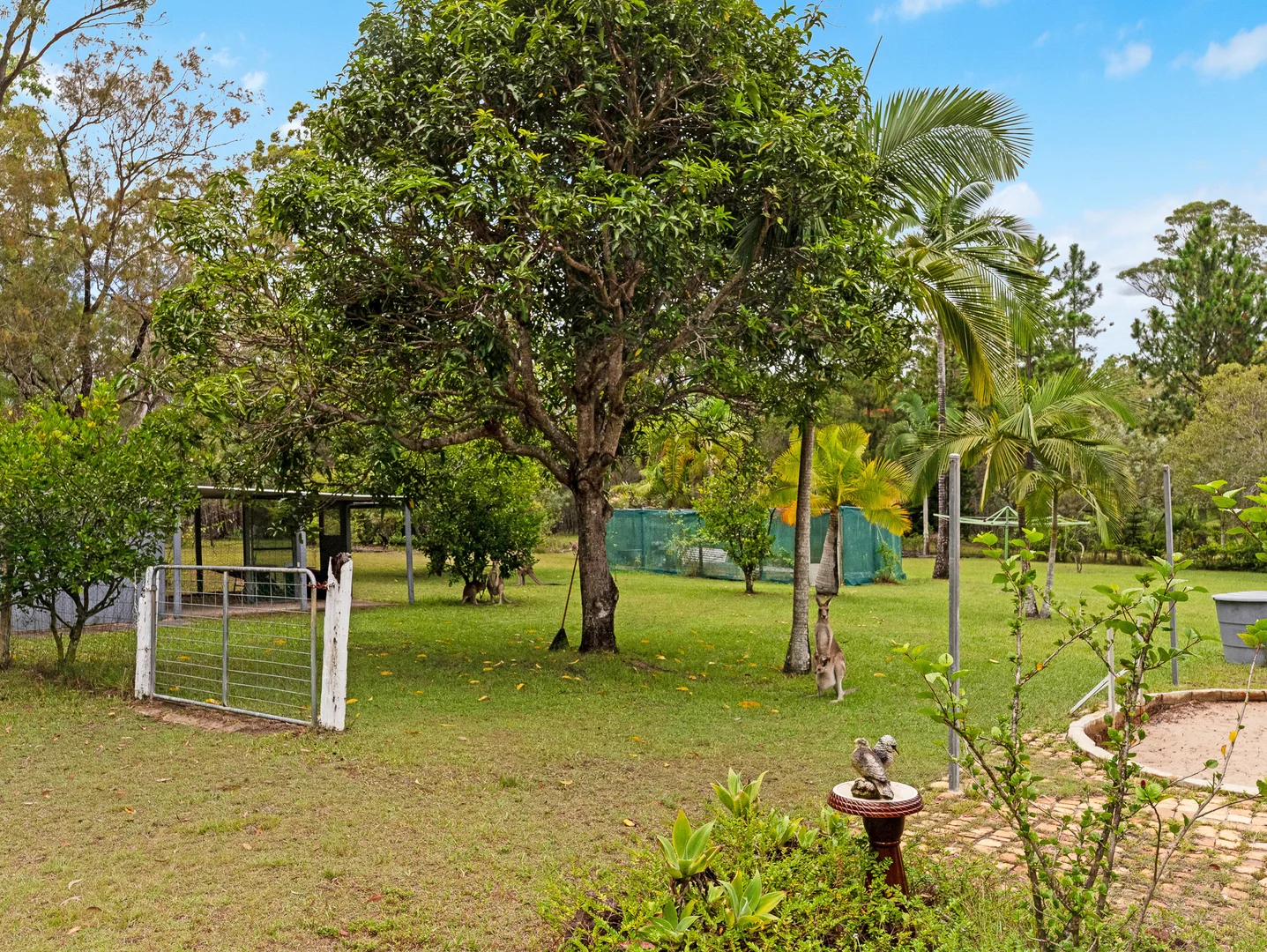 Additional image 17 of 338 Talegalla Drive, Talegalla Weir QLD 4650