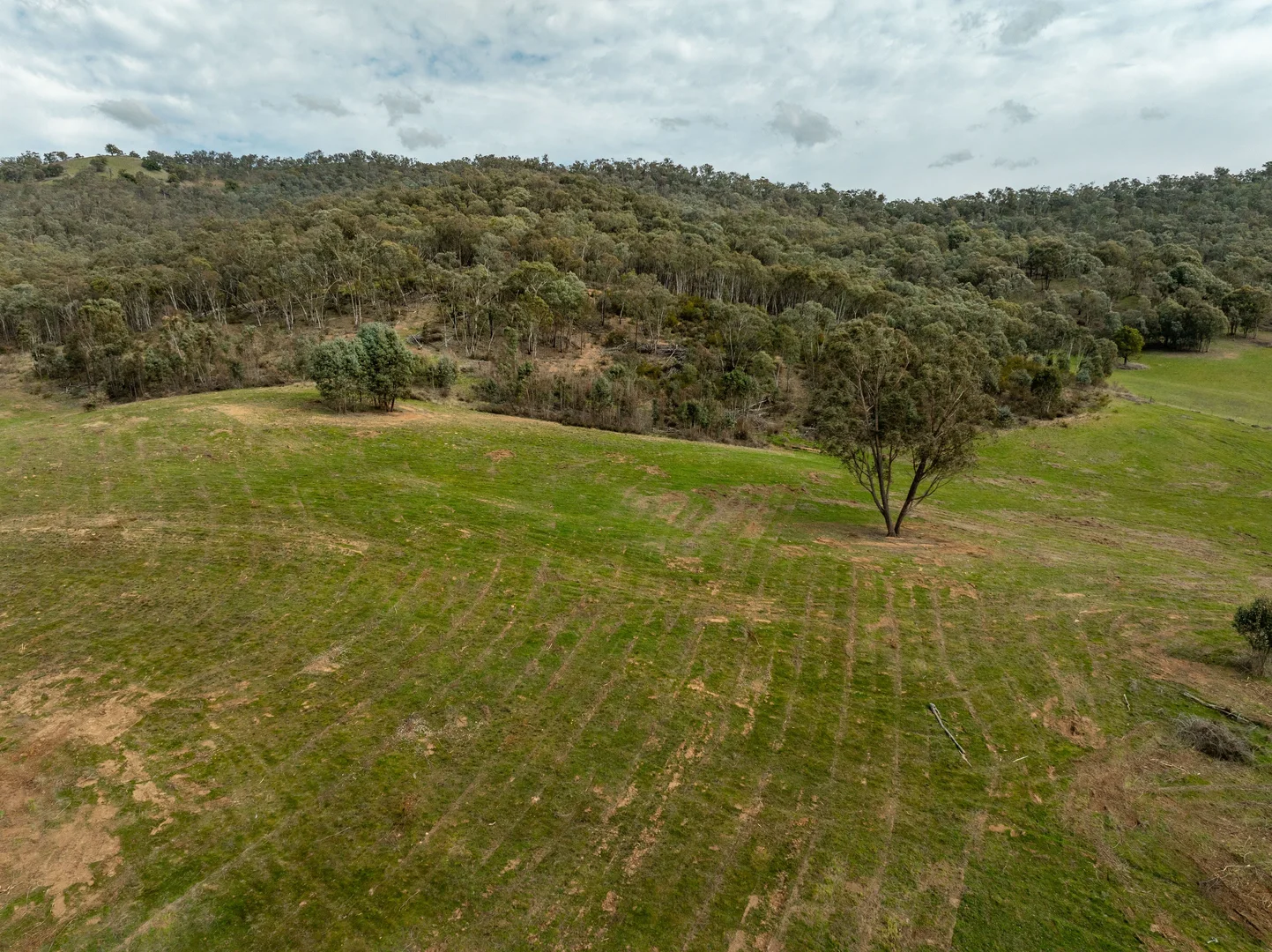 Additional image 47 of 2543 Westbrook Road, Oberne Creek NSW 2650