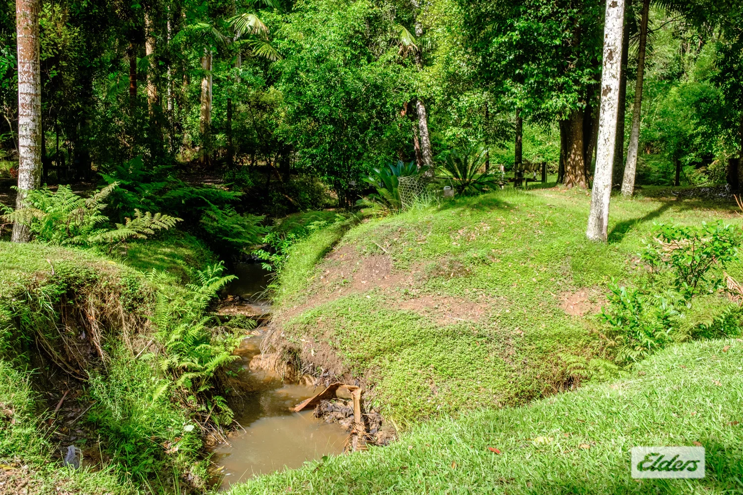 Additional image 16 of 1798 Dooralong Road, Lemon Tree NSW 2259