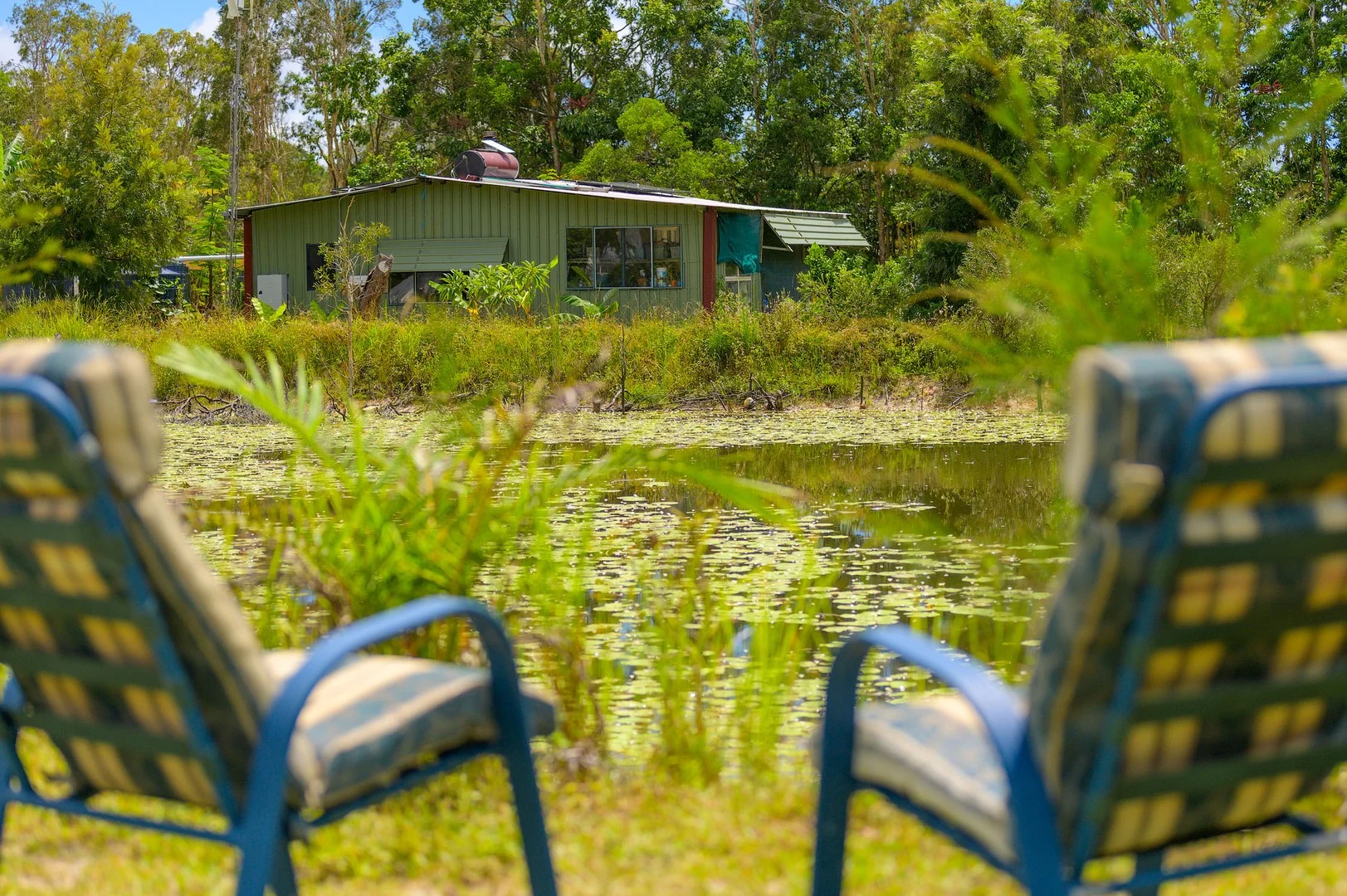 47 Osborne Court, Wallu QLD 4570