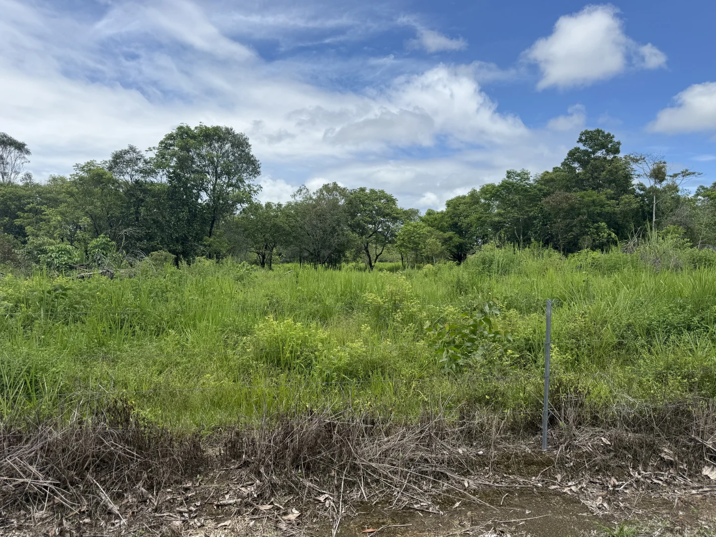 Additional image 31 of Jarra Creek QLD 4854