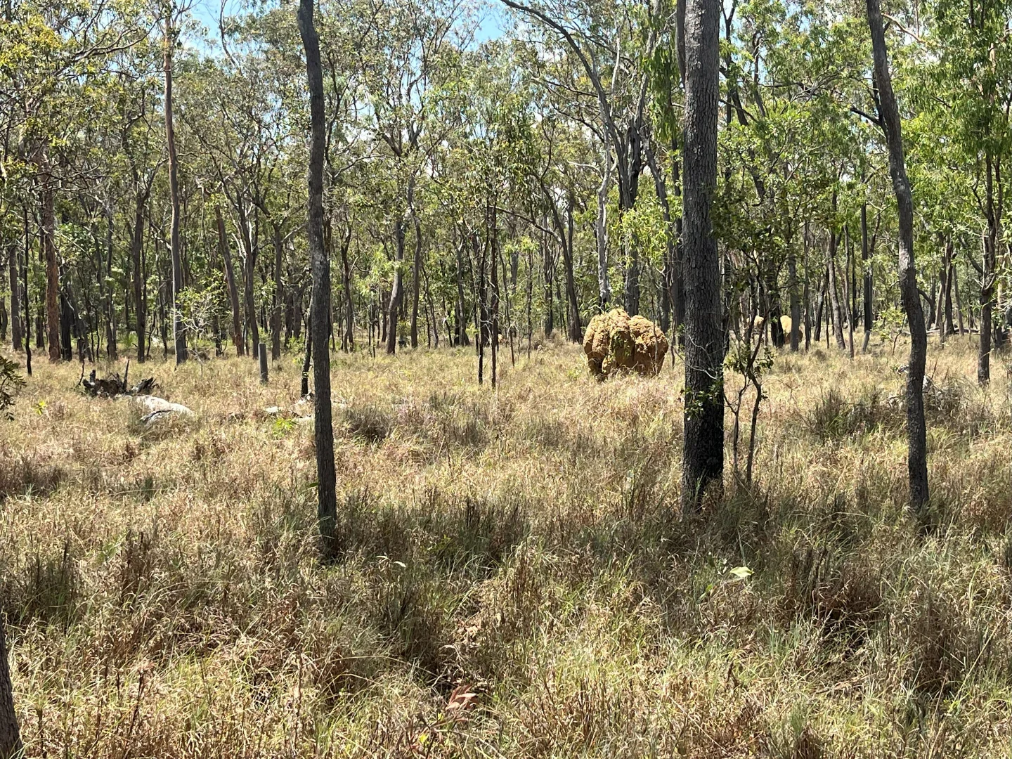 Additional image 46 of Blunder Park Station 382 Blunder Park Road, Ravenshoe QLD 4888