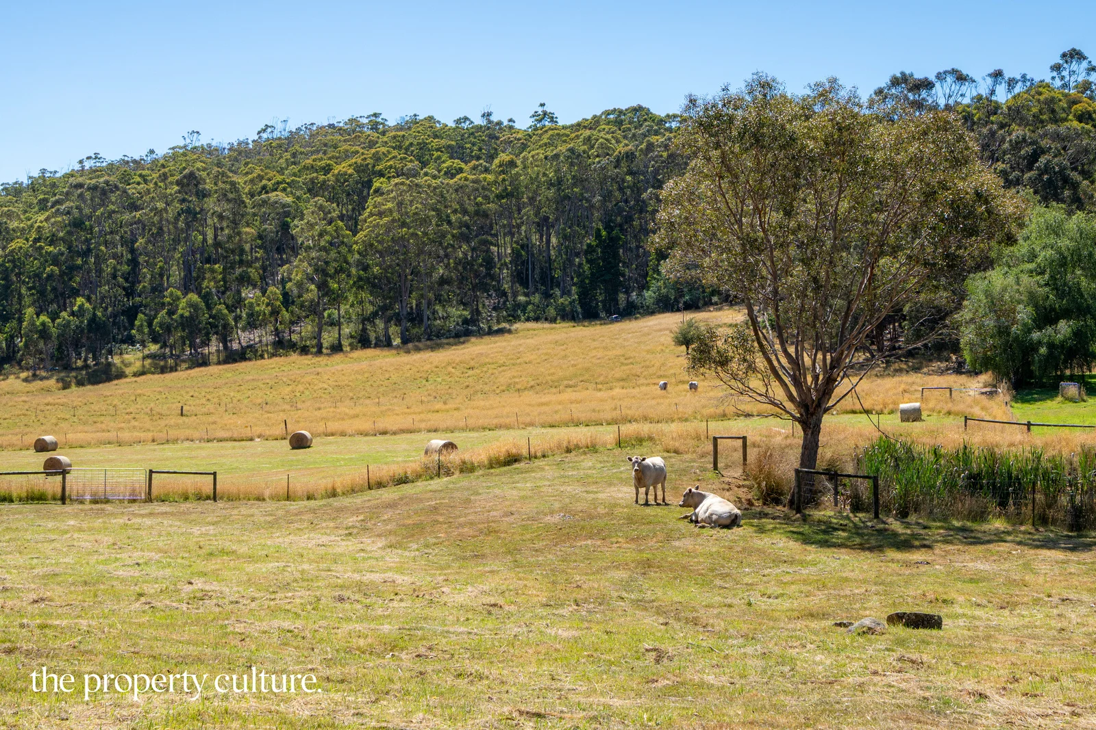 Additional image 28 of 1 Rowes Road, Geeveston TAS 7116