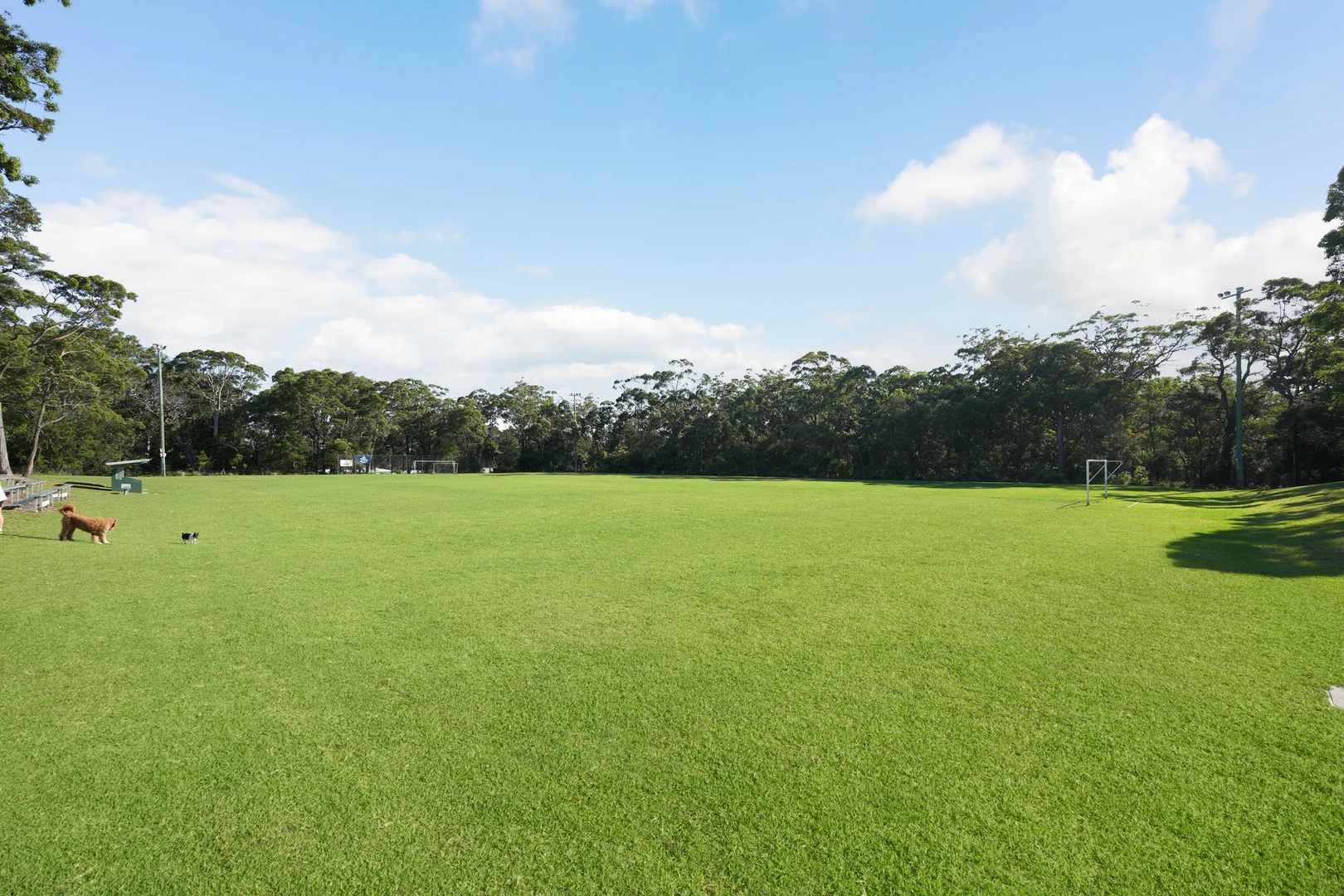 Additional image 10 of Lot 72 Woollamia Road, Woollamia NSW 2540