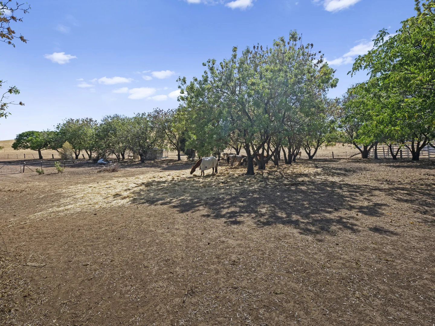 Additional image 13 of 114 Gardiner Road, Lurg VIC 3673