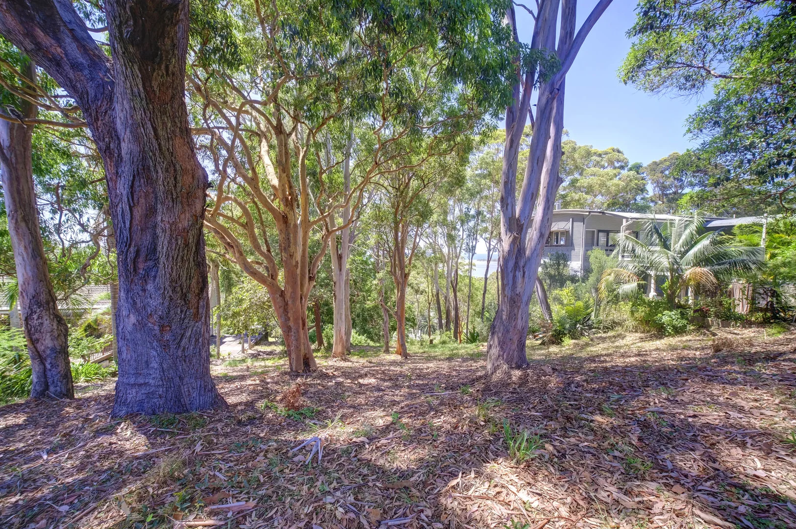 Additional image 4 of 12 Scarfe Street, Smiths Lake NSW 2428