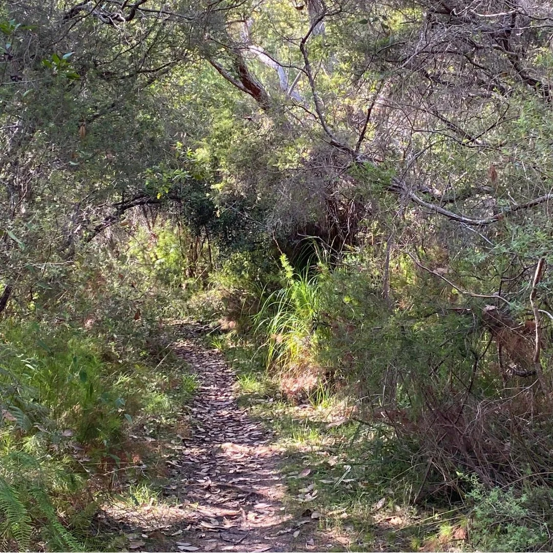 Additional image 29 of 2536 Solitary Islands Way, Arrawarra NSW 2456