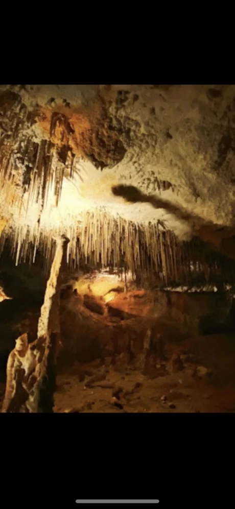 Additional image 9 of 22a Stewart Terrace, Naracoorte SA 5271