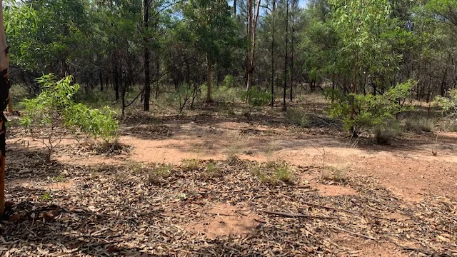 Additional image 10 of L184 Golden Glow Road, Tara QLD 4421