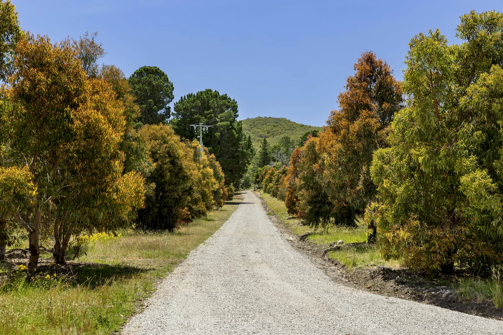 Additional image 19 of 151 Wheelwrights Road, Riddells Creek VIC 3431