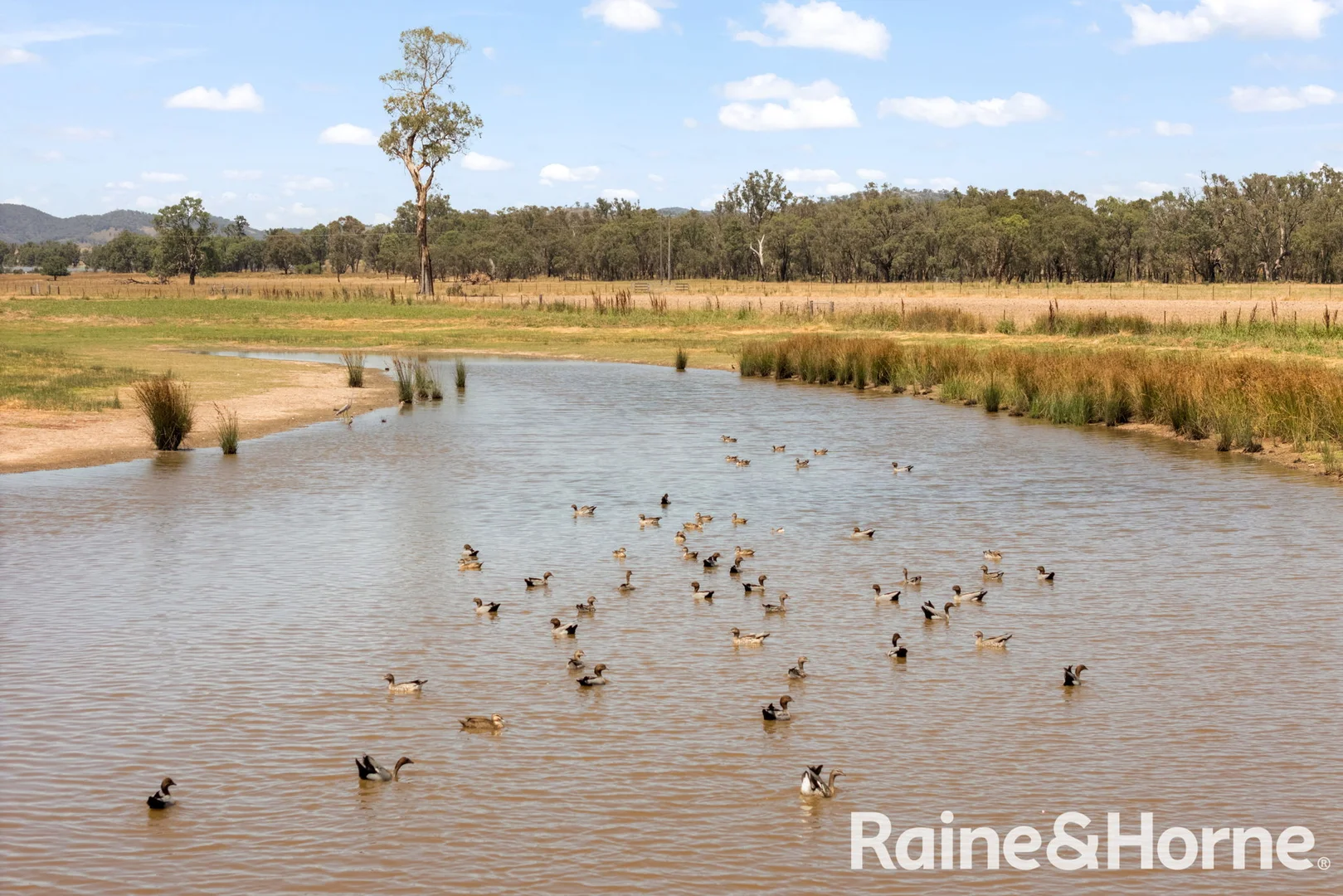 Additional image 17 of 35 Beryl Road, Gulgong NSW 2852