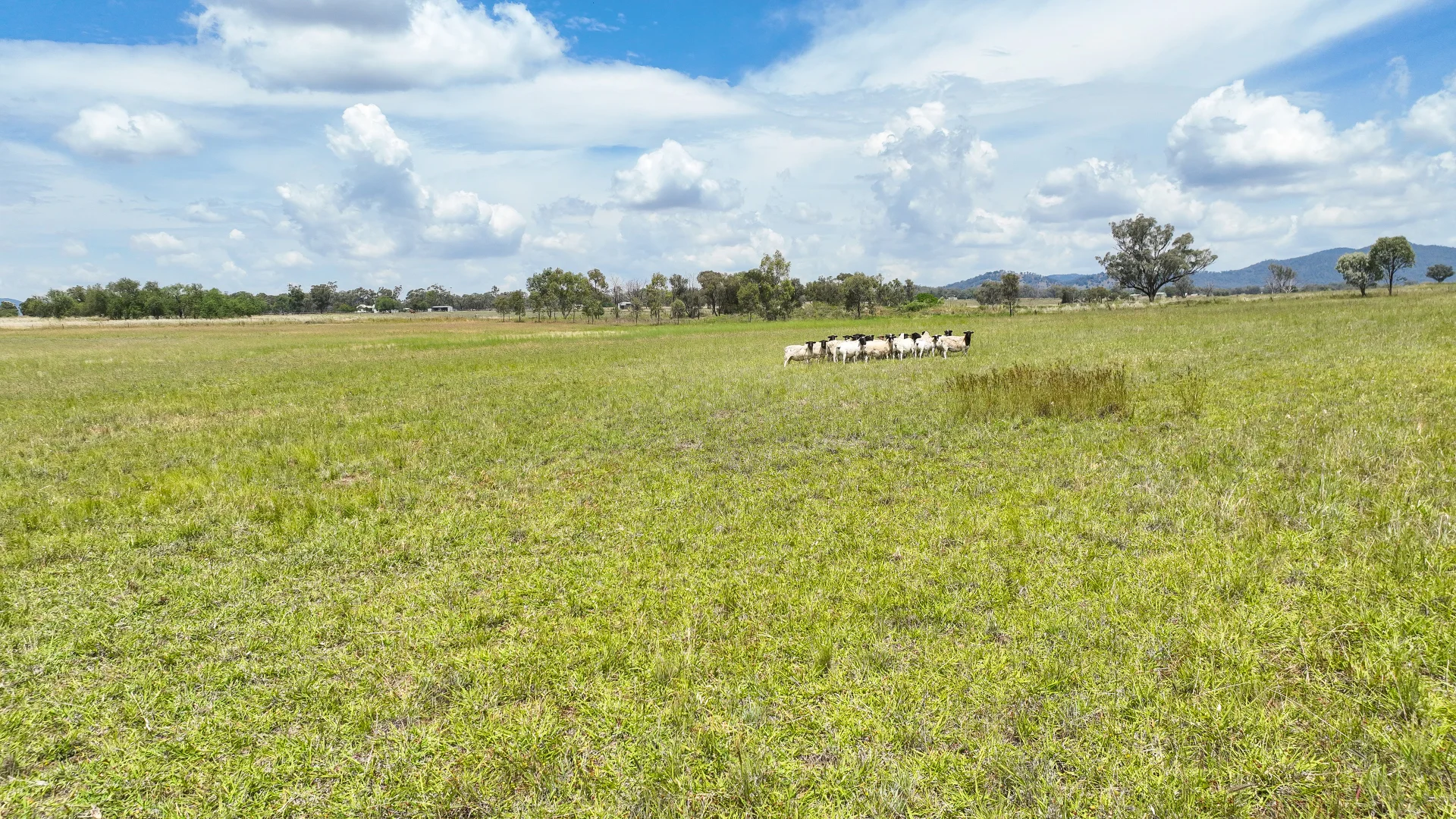 Additional image 5 of Lot 51 Duri-Winton Road, Tamworth NSW 2340