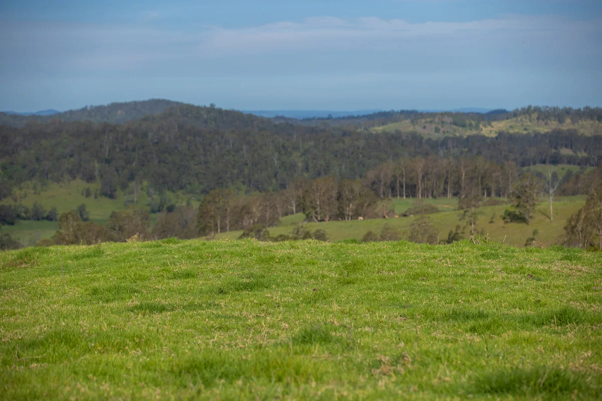 Additional image 32 of Bingeebeebra Creek, Mummulgum NSW 2469