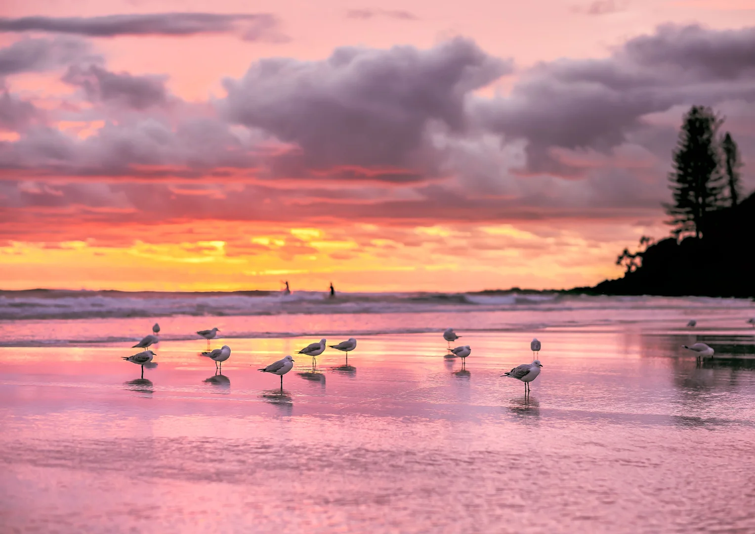 Additional image 31 of 2114/2-14 The Esplanade, Burleigh Heads QLD 4220