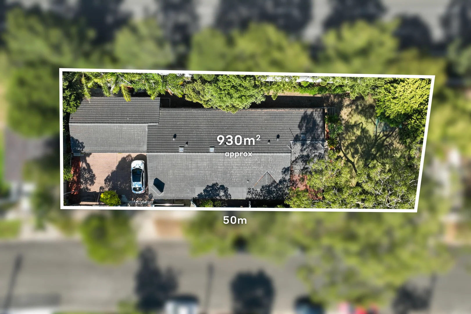 Additional image 2 of 118 Newton Road, Strathfield NSW 2135