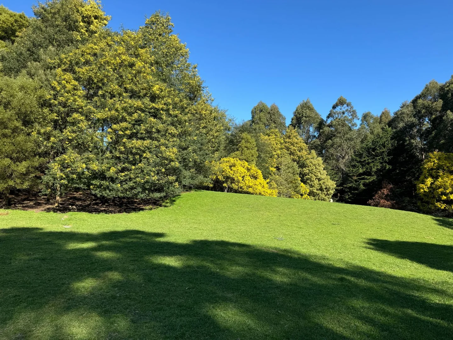 Additional image 19 of 1725 Wild Dog Valley, Strzelecki VIC 3950