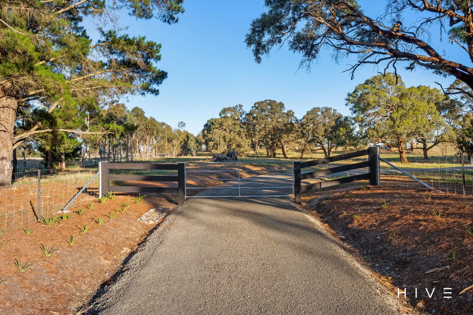 Additional image 13 of 8 Creekborough Road, Bywong NSW 2621