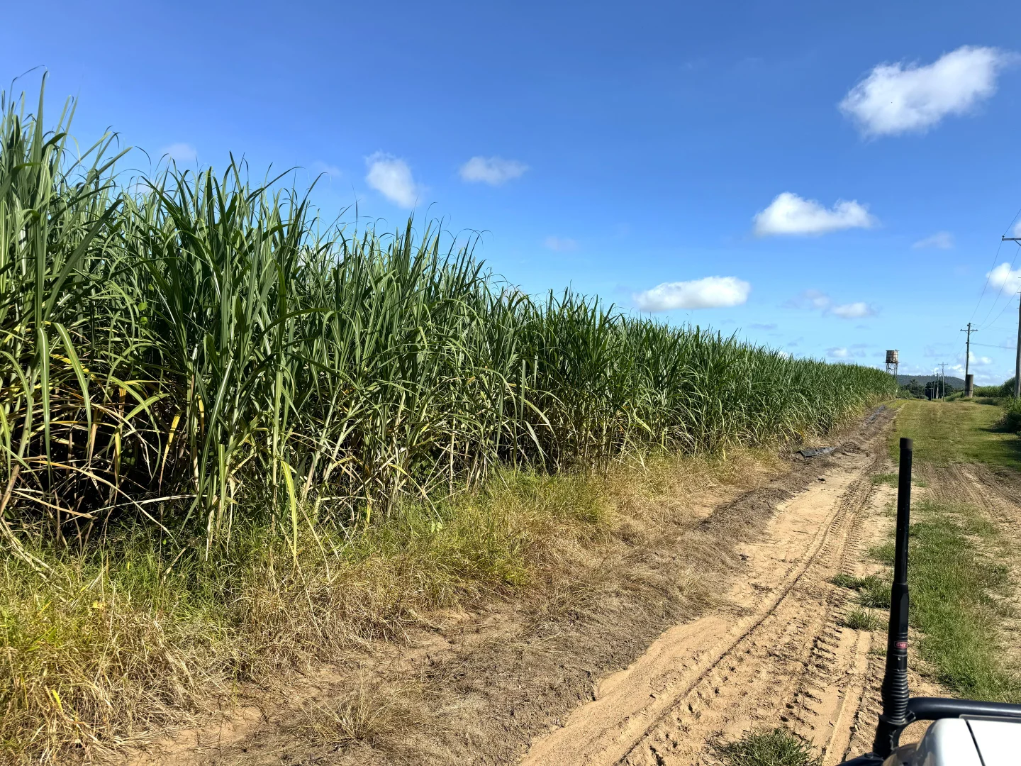 Additional image 6 of 1214 Kirknie Road, Osborne QLD 4806