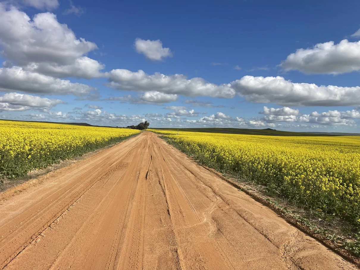 Additional image 4 of 6062 Coorow-Greenhead Road, Warradarge WA 6518