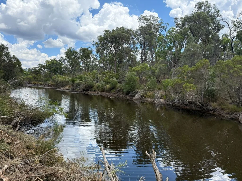 Lot/89 Fletcher Road, Ballandean QLD 4382