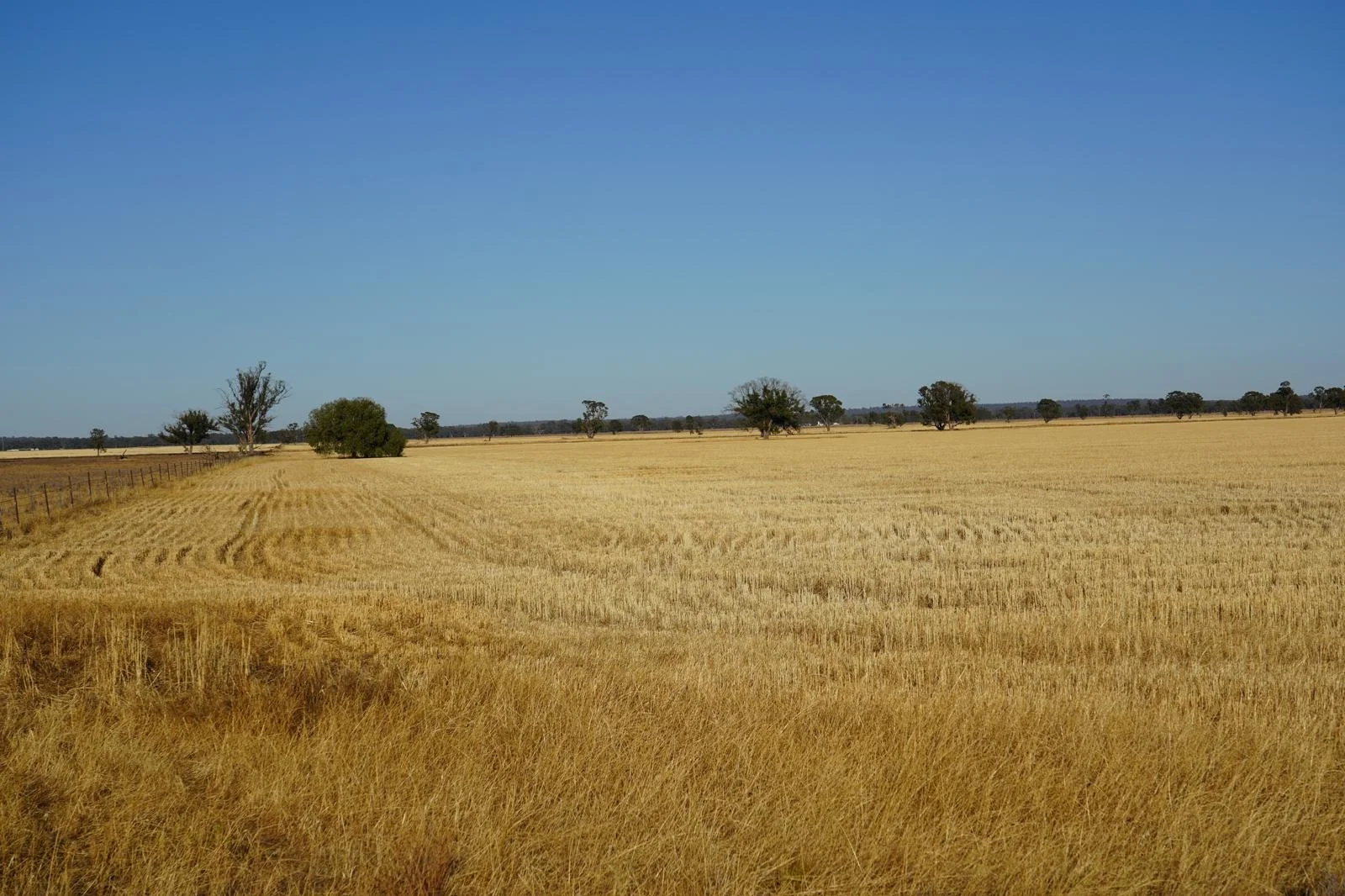 Additional image 16 of Part Woodville Blackstock Hill Road, Peak Hill NSW 2869