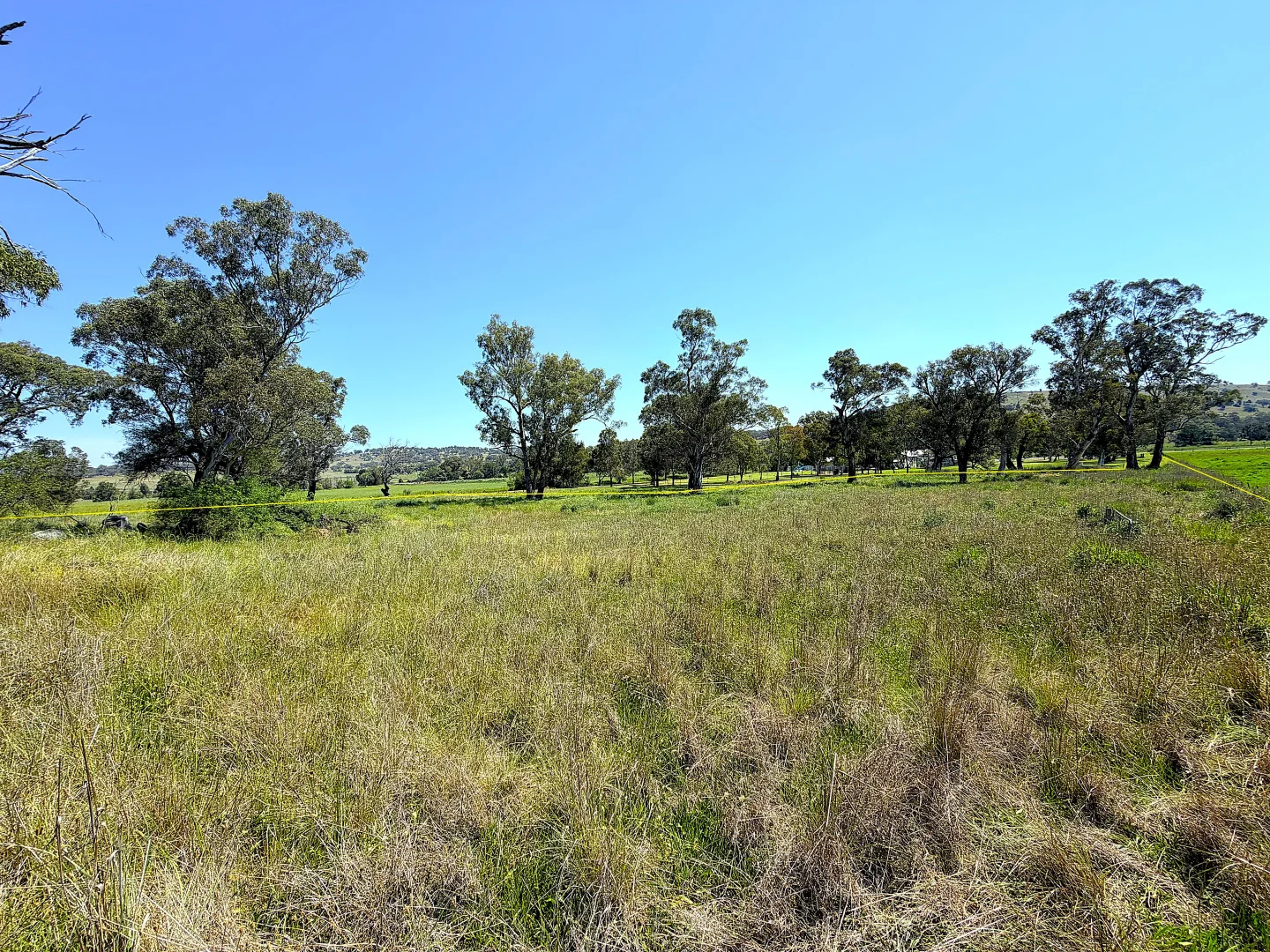 Additional image 6 of 40 Merriwa Road, Willow Tree NSW 2339