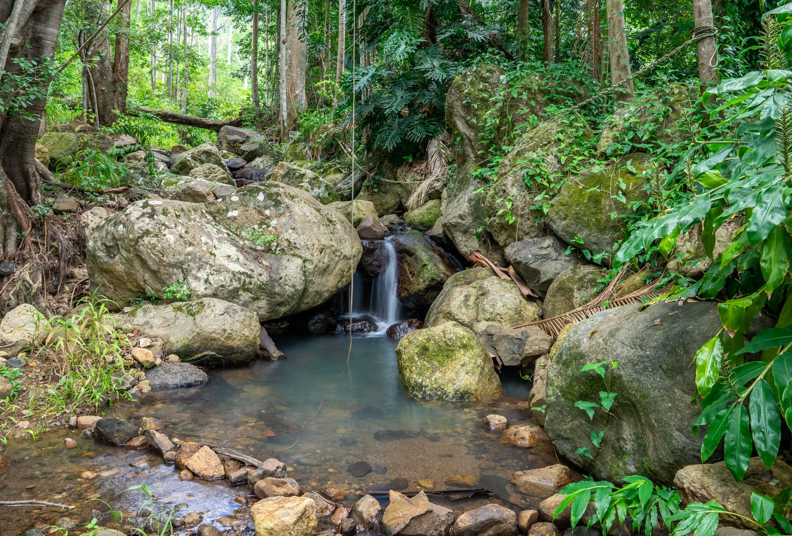 Additional image 37 of 771 Left Bank Road, Mullumbimby Creek NSW 2482
