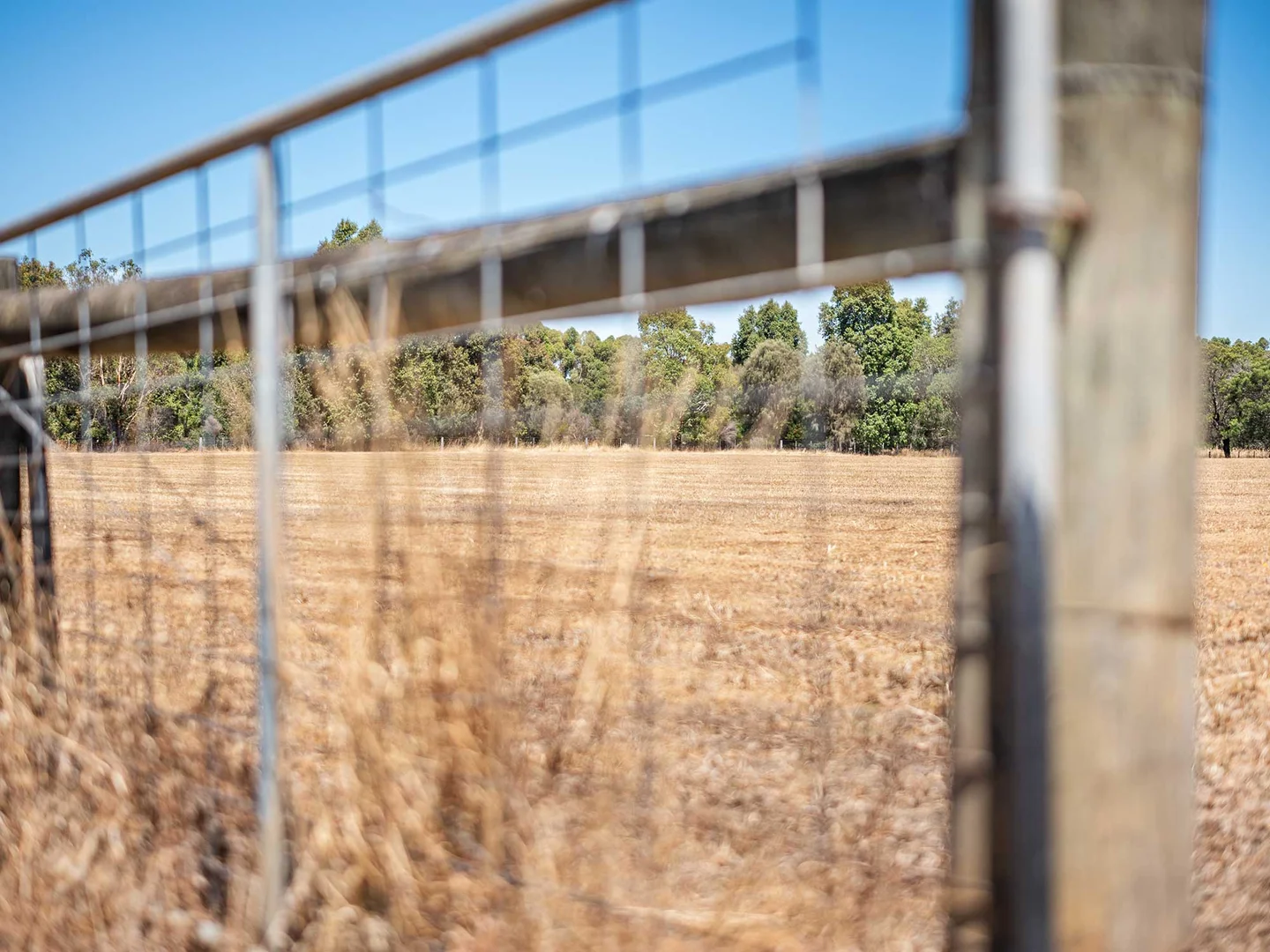 Additional image 12 of 42 Beveridges Road, Hamilton VIC 3300