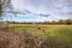 Additional image 57 of The Old Rectory, Bowness-On-Solway, CA7 5AF