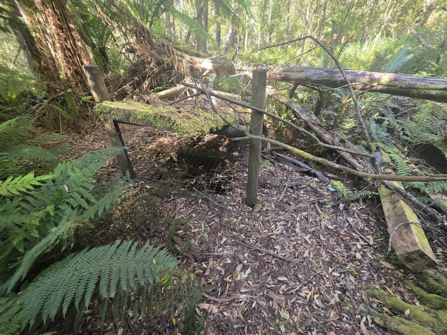 Additional image 8 of lot 1 1824490 Edward Street West Coast [Balfour], Temma TAS 7330