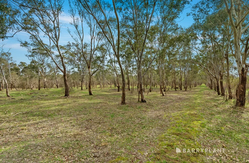 Additional image 11 of 60 Wilkes Court, Mernda VIC 3754