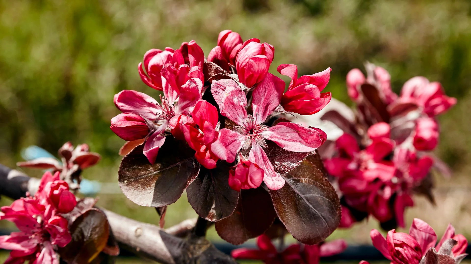 Additional image 17 of 389 Auburn Road, Beaconsfield TAS 7270