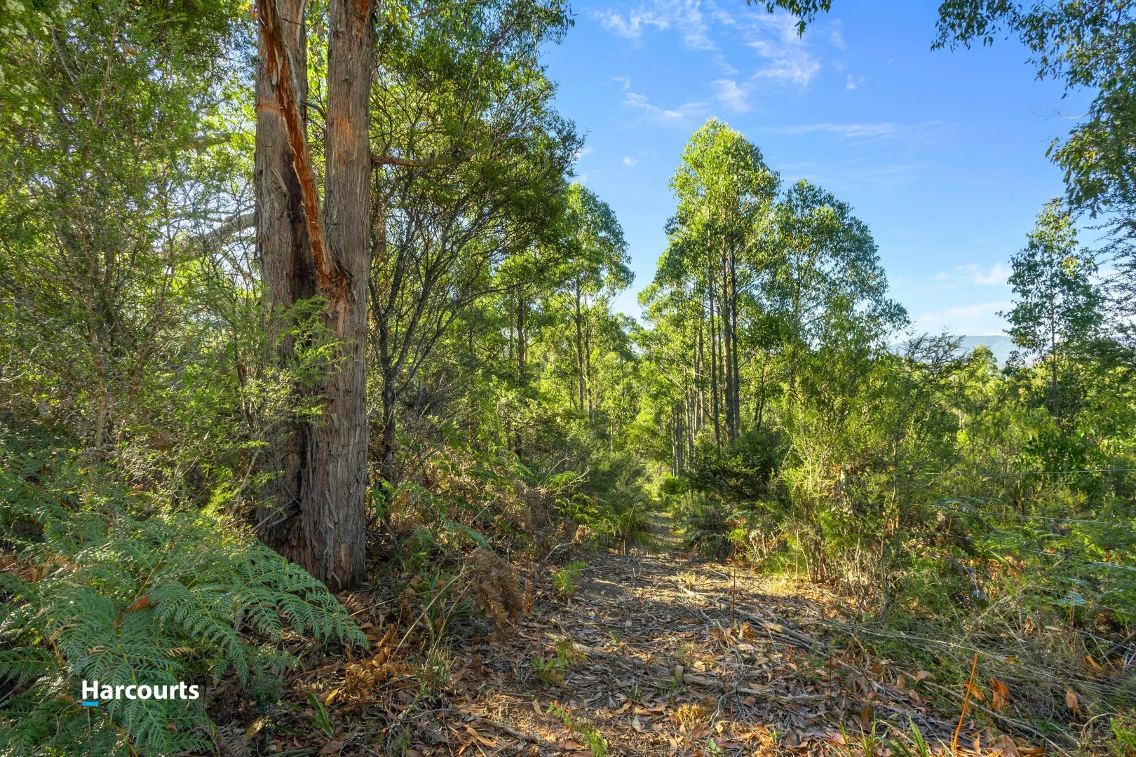 Additional image 20 of 15 Stella Court, Surges Bay TAS 7116