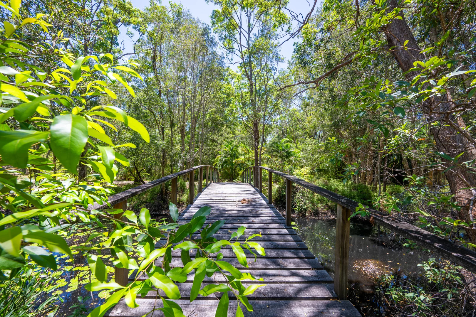 Additional image 5 of 2536 Solitary Islands Way, Arrawarra NSW 2456