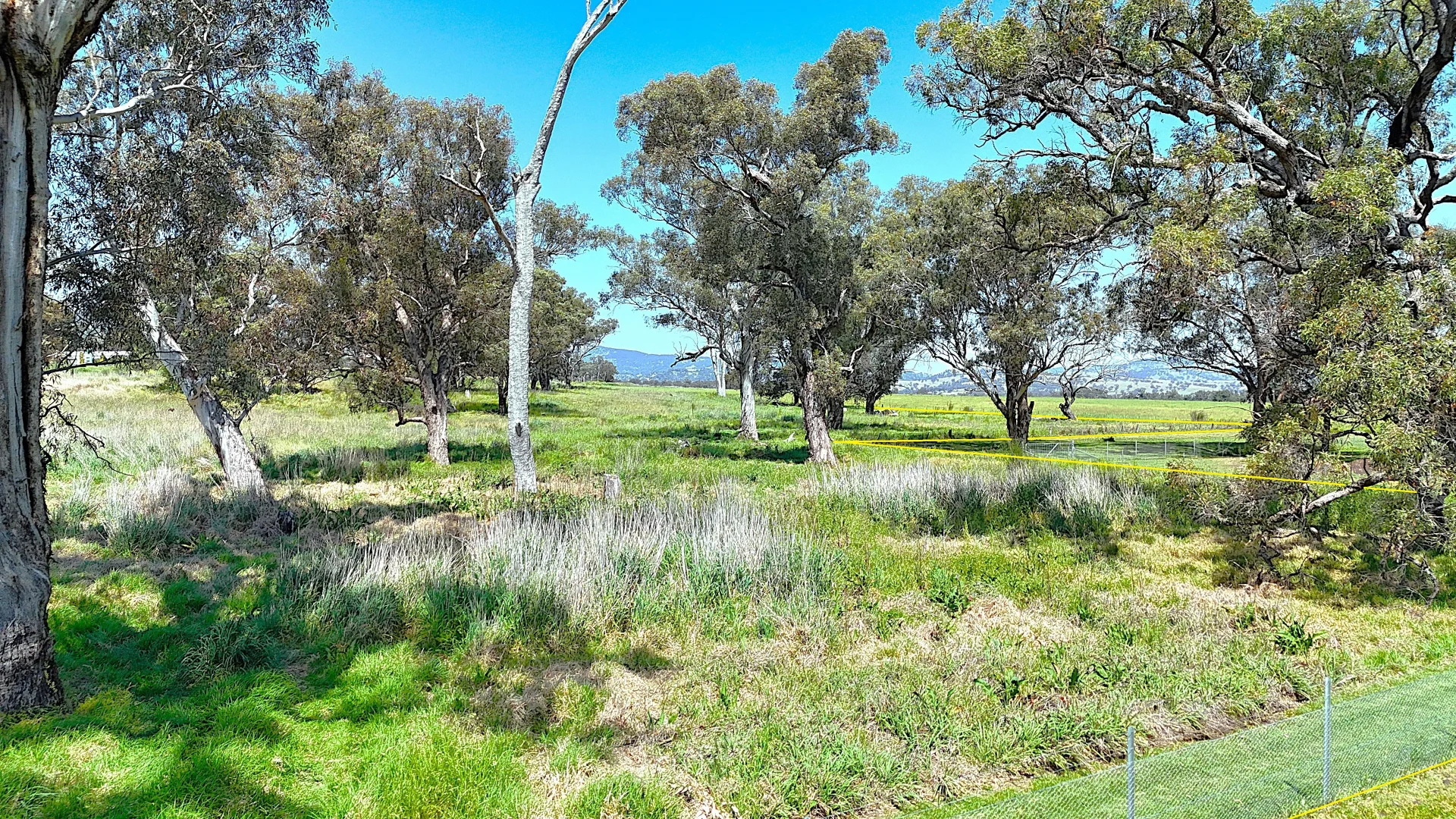 Additional image 3 of 40 Merriwa Road, Willow Tree NSW 2339