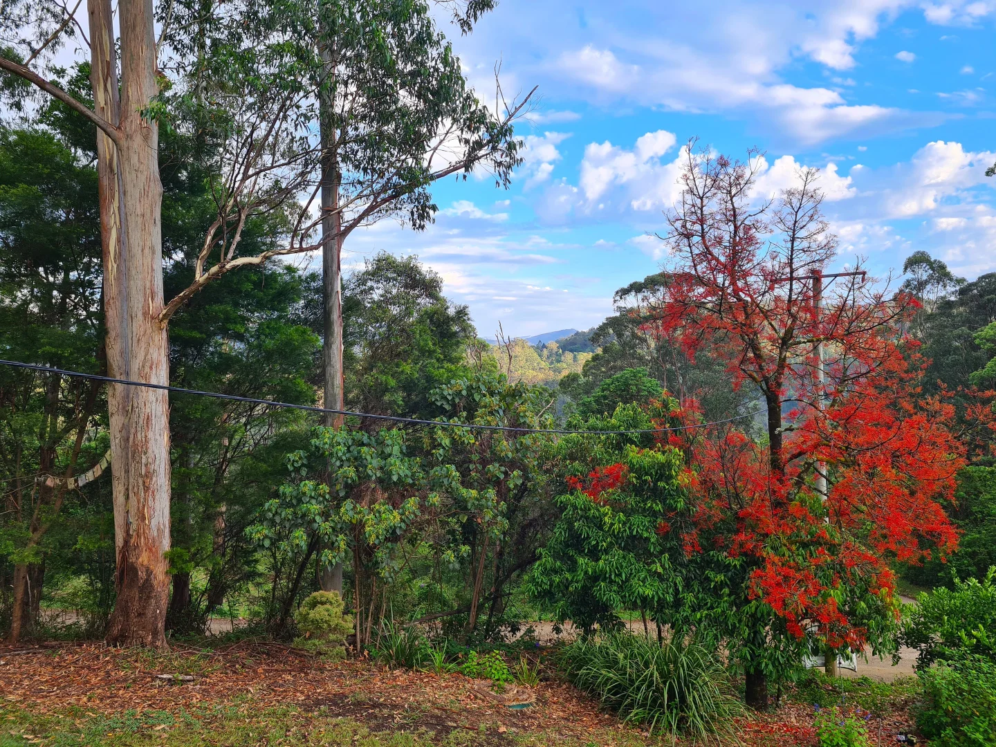 Additional image 22 of 83/265 Martin Road, Larnook NSW 2480