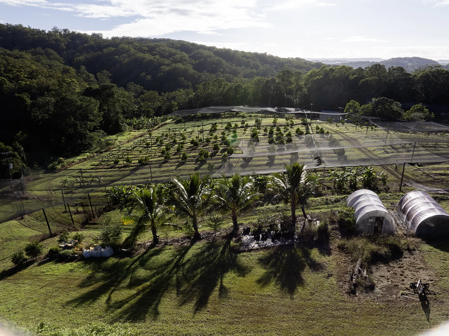Additional image 47 of 654 Blackall Range Road, West Woombye QLD 4559